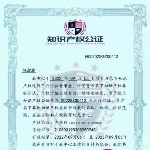 绝佳域名急售，投资良机不容错过